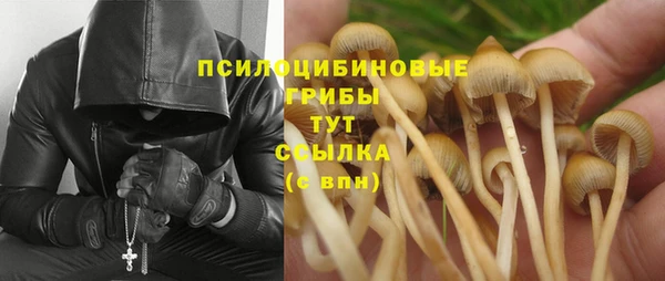 экстази Баксан