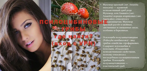 экстази Баксан