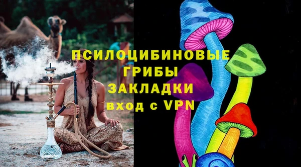 хмурый Рославль