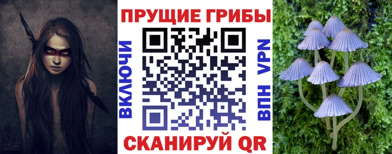 Псилоцибиновые грибы прущие грибы  как найти   Красково 